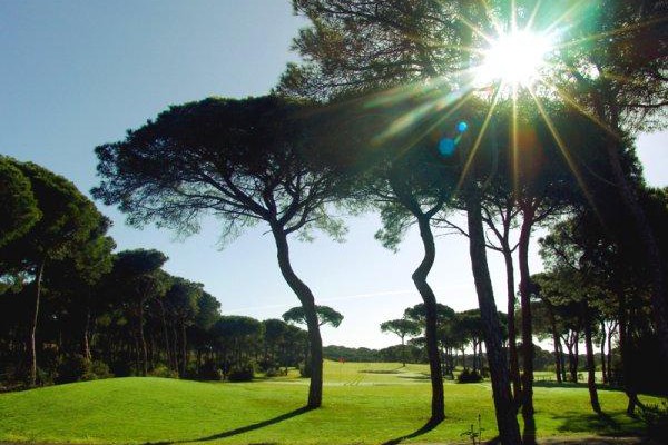 visithuelva golfnuevoportil