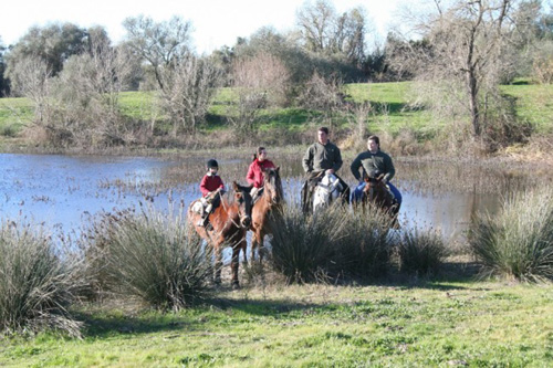 visithuelva caballo donana