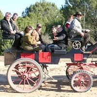 visithuelva doñana en coche caballos