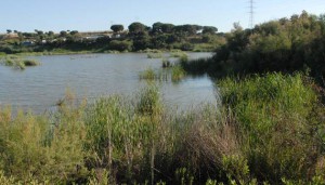 visithuelva estero domingo rubio