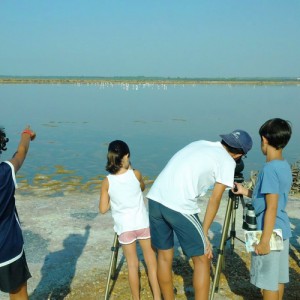 visithuelva marismas del odiel onubaland
