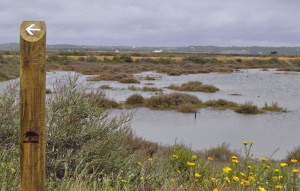 visithuelva marismas isla cristina