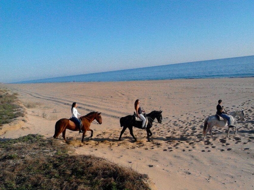 visithuelva paseos a caballo mazagon