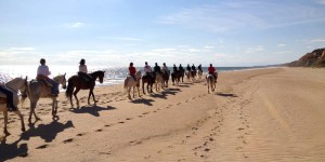 visithuelva rutas caballo playa