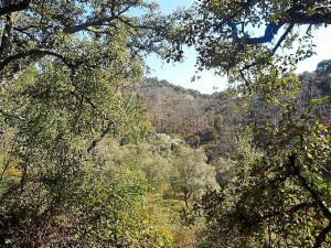 visithuelva sierra pelada