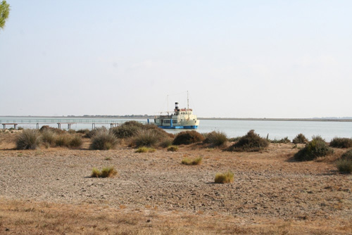 visithuelva visita barco donana