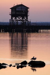 visithuelva muelle de tharsis