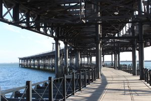 visithuelva muelle del tinto