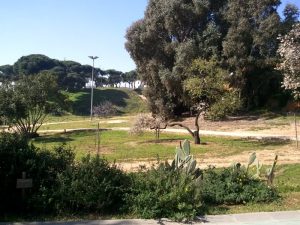 visithuelva parque moret